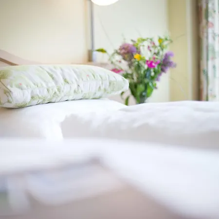 Gruener Baum Hotel 4*
