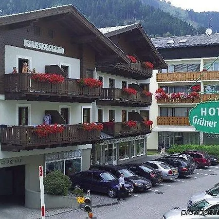 Hotel Gruener Baum
