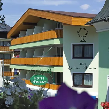 Hotel Gruener Baum 4*
