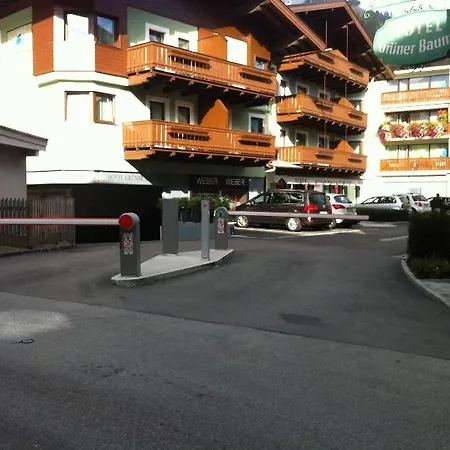 Gruener Baum 4*