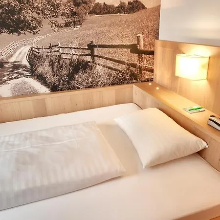 Gruener Baum Hotel Zell am See